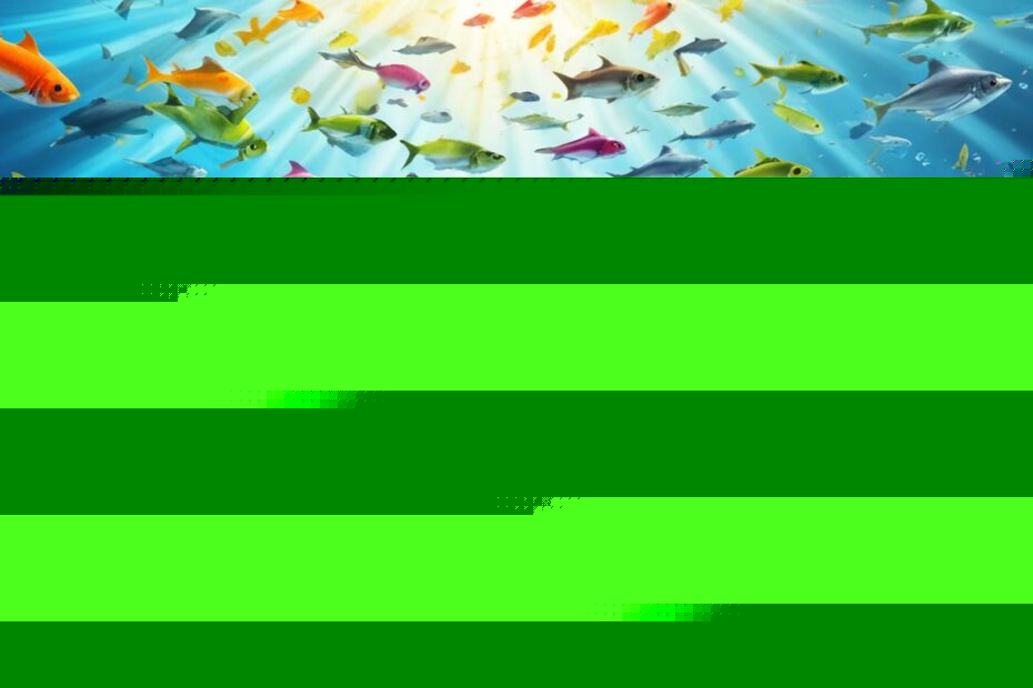 peaceful fruits Shark tank update